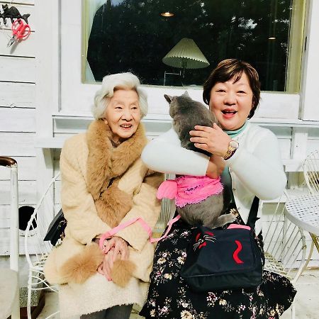 Mt Fuji Cat&Dog&Spa Pension Blue Poppy 후지카와구치코 외부 사진