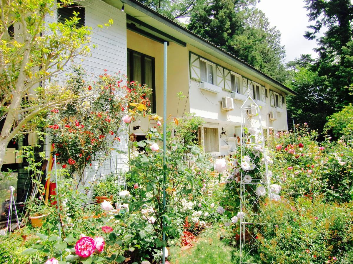 Mt Fuji Cat&Dog&Spa Pension Blue Poppy 후지카와구치코 외부 사진
