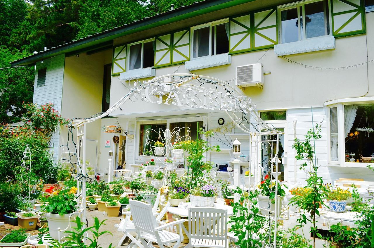 Mt Fuji Cat&Dog&Spa Pension Blue Poppy 후지카와구치코 외부 사진