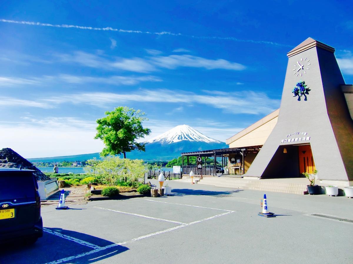 Mt Fuji Cat&Dog&Spa Pension Blue Poppy 후지카와구치코 외부 사진
