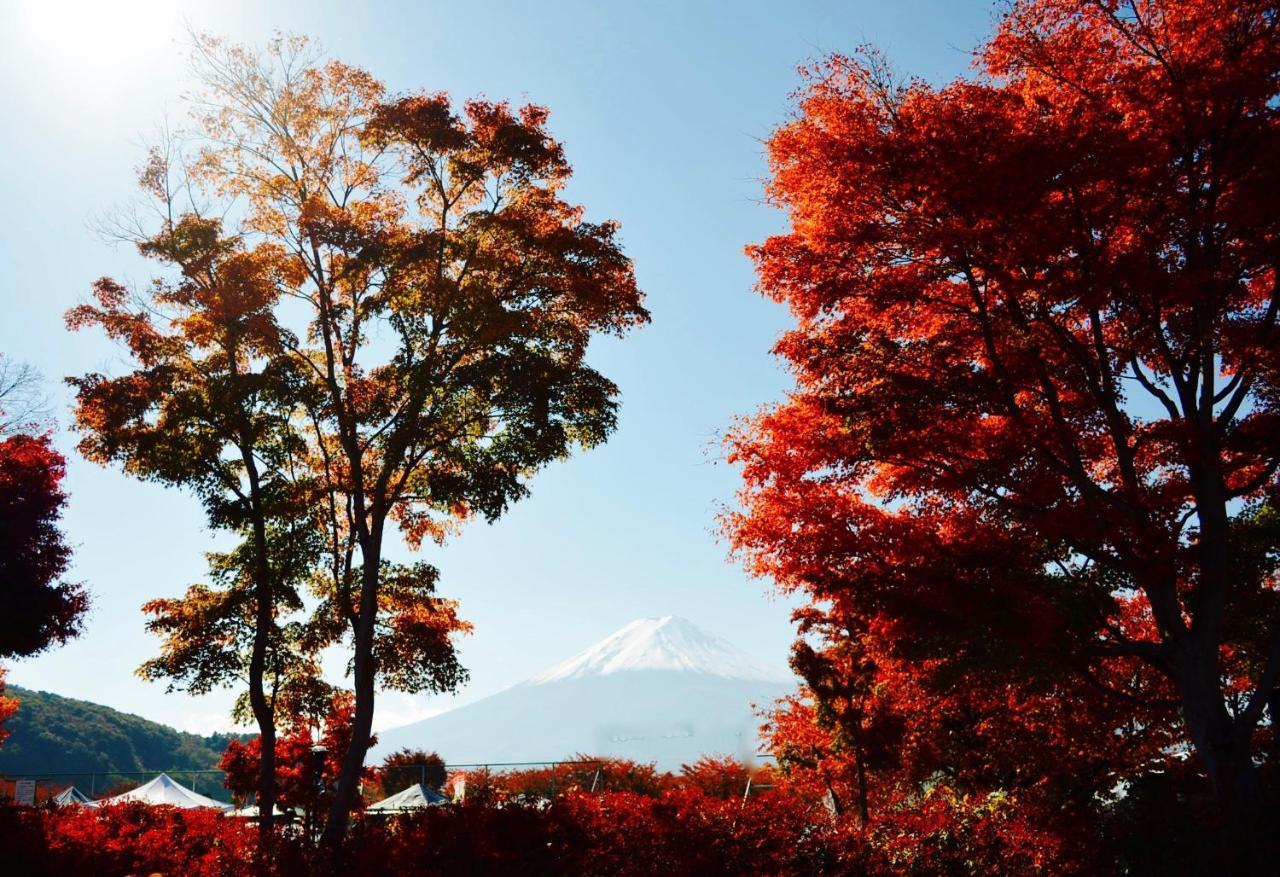 Mt Fuji Cat&Dog&Spa Pension Blue Poppy 후지카와구치코 외부 사진
