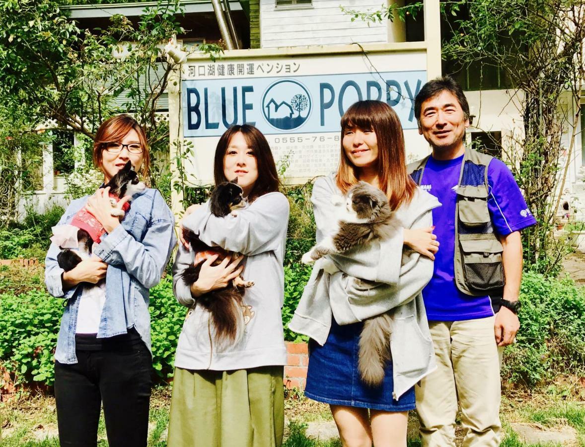 Mt Fuji Cat&Dog&Spa Pension Blue Poppy 후지카와구치코 외부 사진