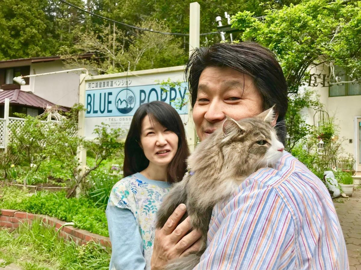 Mt Fuji Cat&Dog&Spa Pension Blue Poppy 후지카와구치코 외부 사진