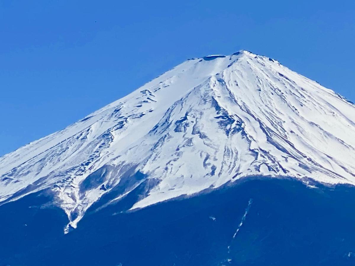Mt Fuji Cat&Dog&Spa Pension Blue Poppy 후지카와구치코 외부 사진